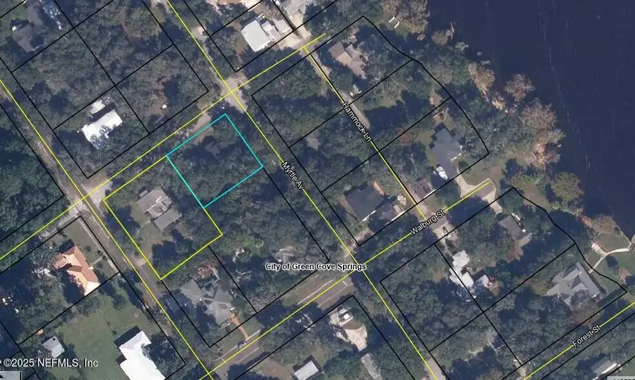 726 St Johns Avenue, Green Cove Springs, FL 32043 - Image #2