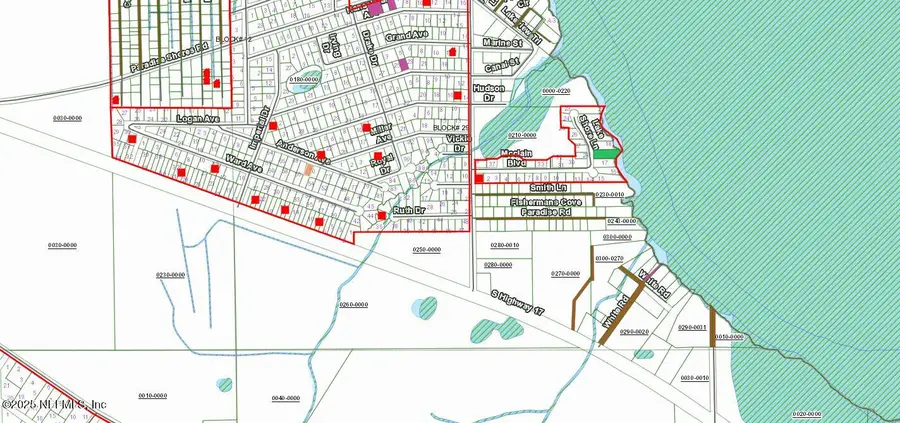 215 Anderson Avenue, Crescent City, FL 32112 - Image #3