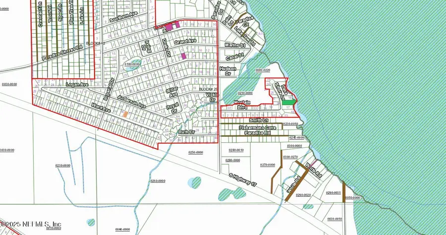 310 Ward Avenue, Crescent City, FL 32112 - Image #2