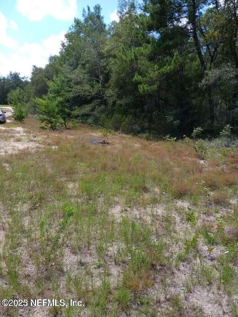 0 Valhalla Street, Melrose, FL 32666 - #3