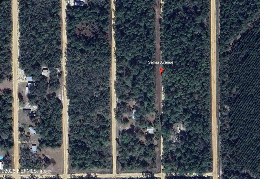 00 Selma Avenue, Interlachen, FL 32148 - Image #2