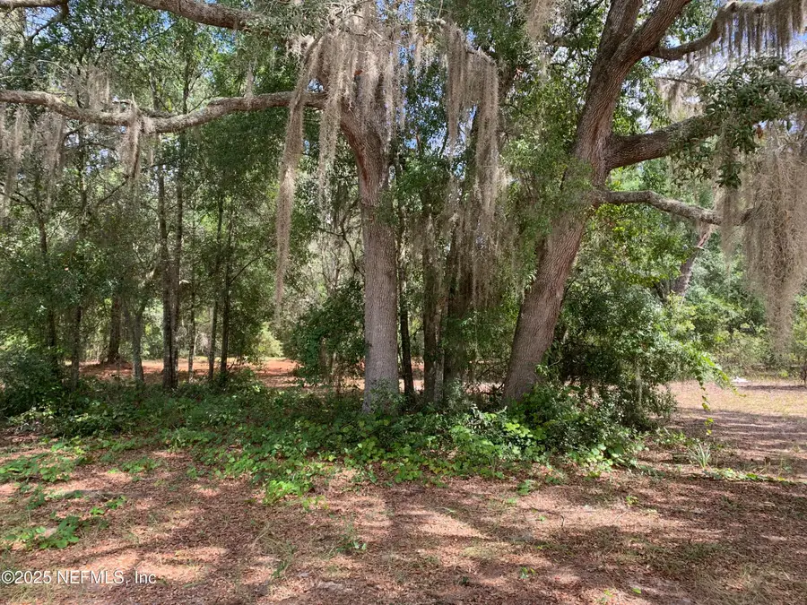 114 & 116 Willow Street, Hawthorne, FL 32640 - Image #2