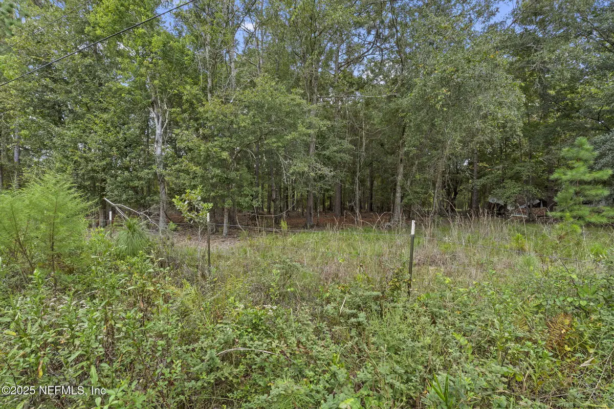 0 Primrose Lane, Middleburg, FL 32068 - Image #1