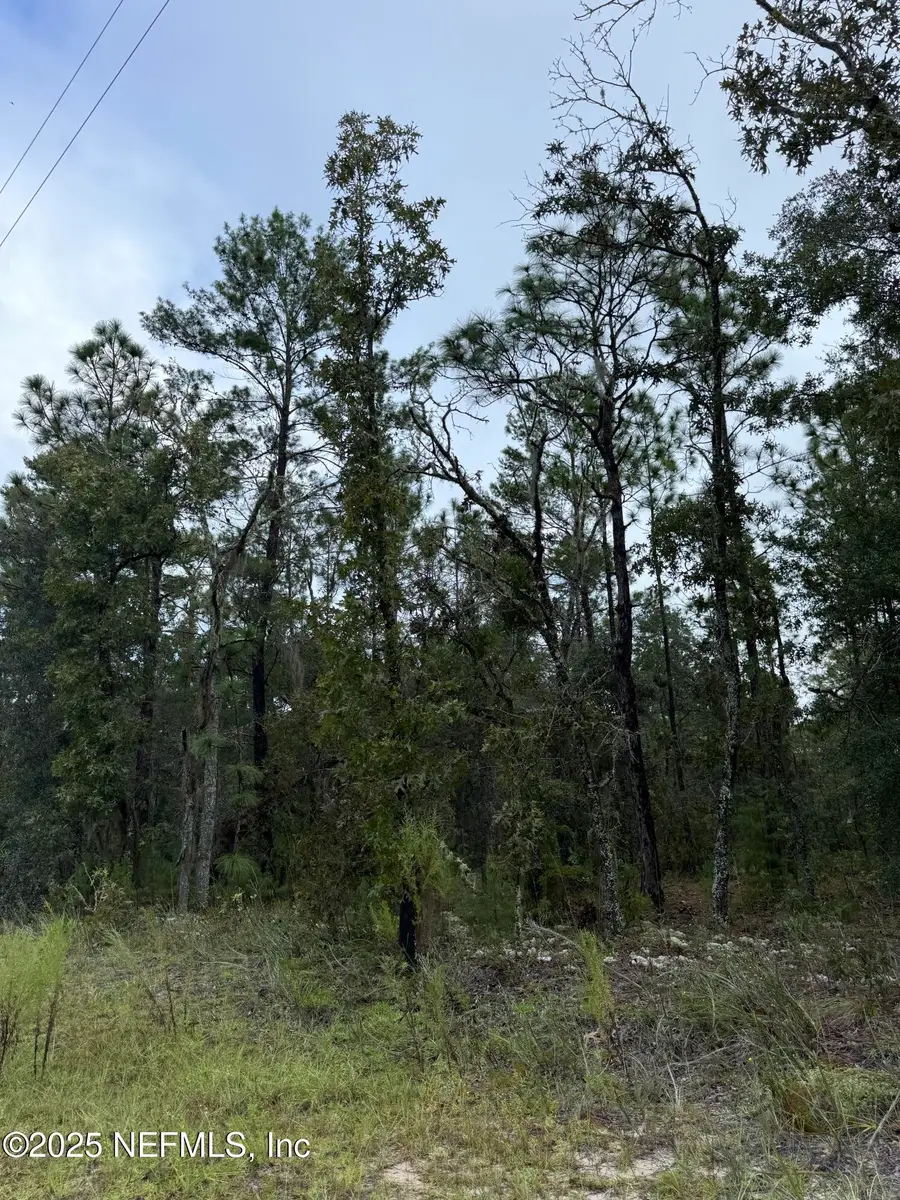 5830 Campo Drive, Keystone Heights, FL 32656 - Image #2