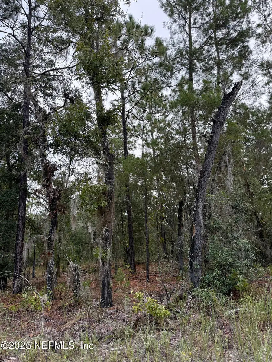 5830 Campo Drive, Keystone Heights, FL 32656 - Image #3