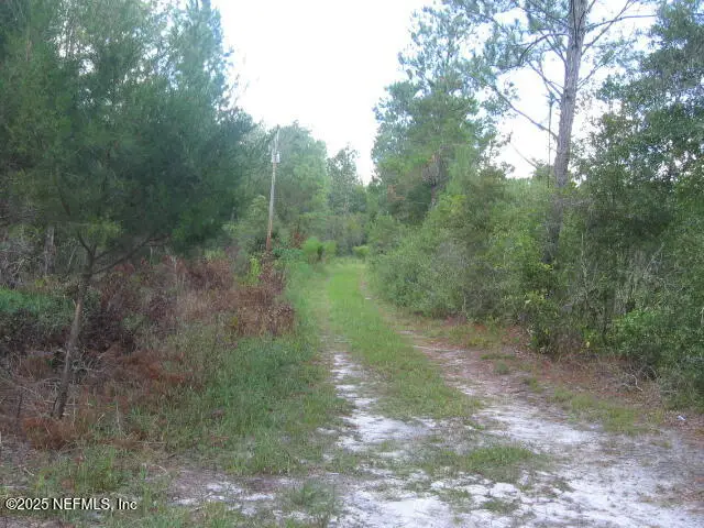 101 Coolee Pond Road, Melrose, FL 32666 - Image #3