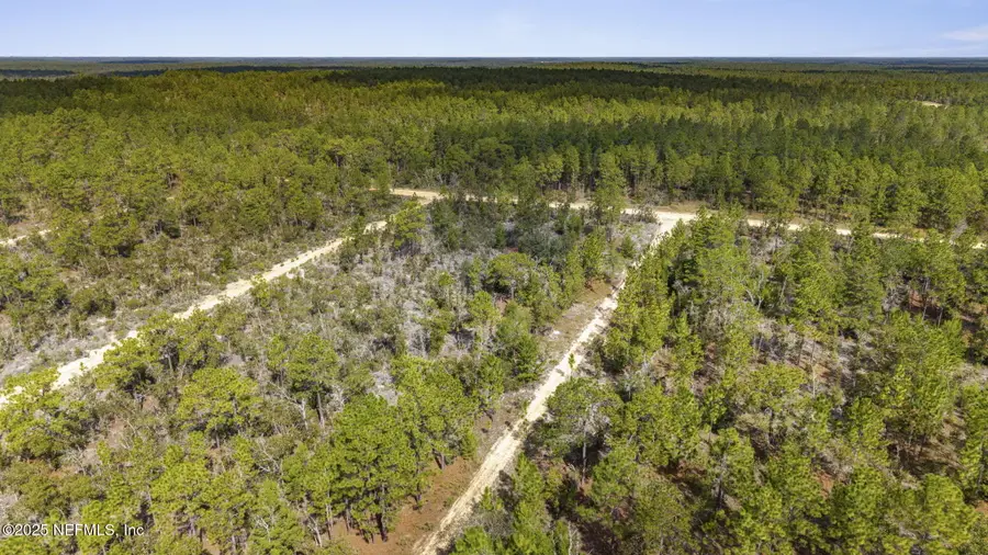 0 Dothan Street, Interlachen, FL 32148 - Image #2