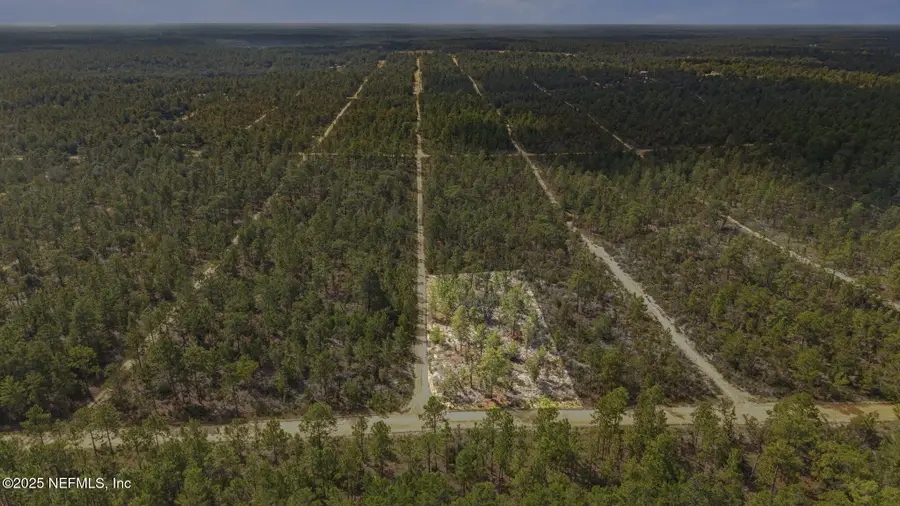 0 Dothan Street, Interlachen, FL 32148 - Image #3