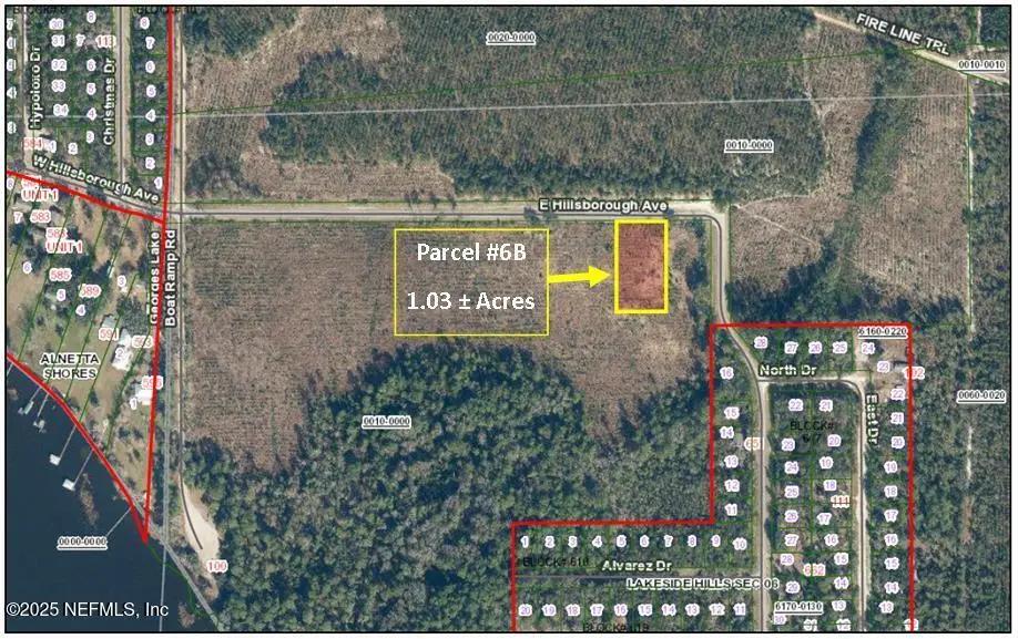 PARCEL 6B E Hillsborough Avenue, Florahome, FL 32140 - Image #1