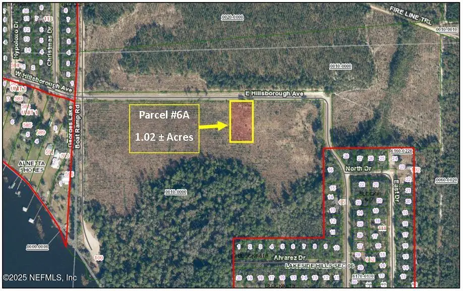 PARCEL 6A E Hillsborough Avenue, Florahome, FL 32140 - Image #1