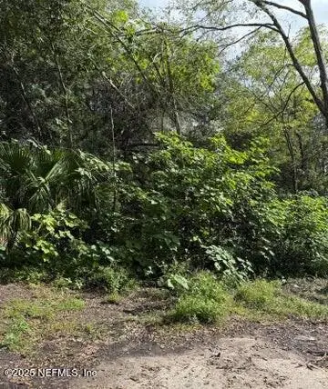 0 E 31st E Street, Jacksonville, FL 32206 - Image #1