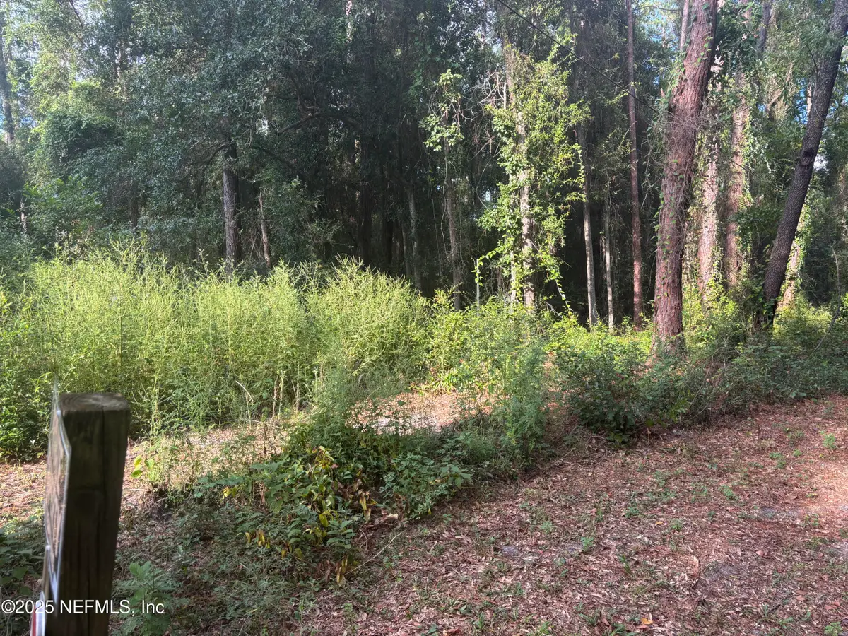 3125 Bliss Road, Orange Park, FL 32065 - Image #1