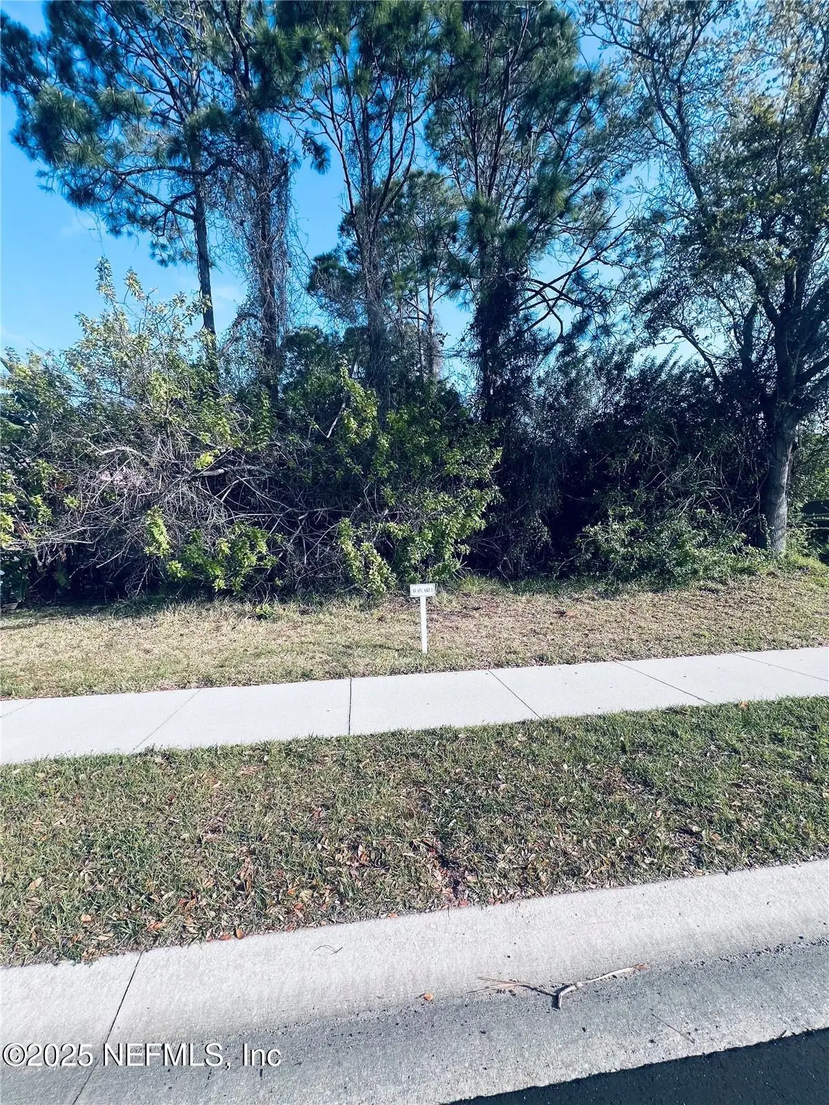91 Emerald Lake Drive, Palm Coast, FL 32137 - #1