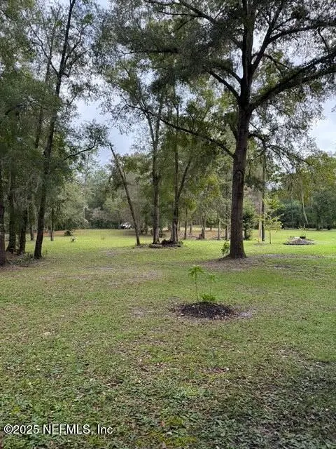 0 Skipper Road, Middleburg, FL 32068 - Image #1