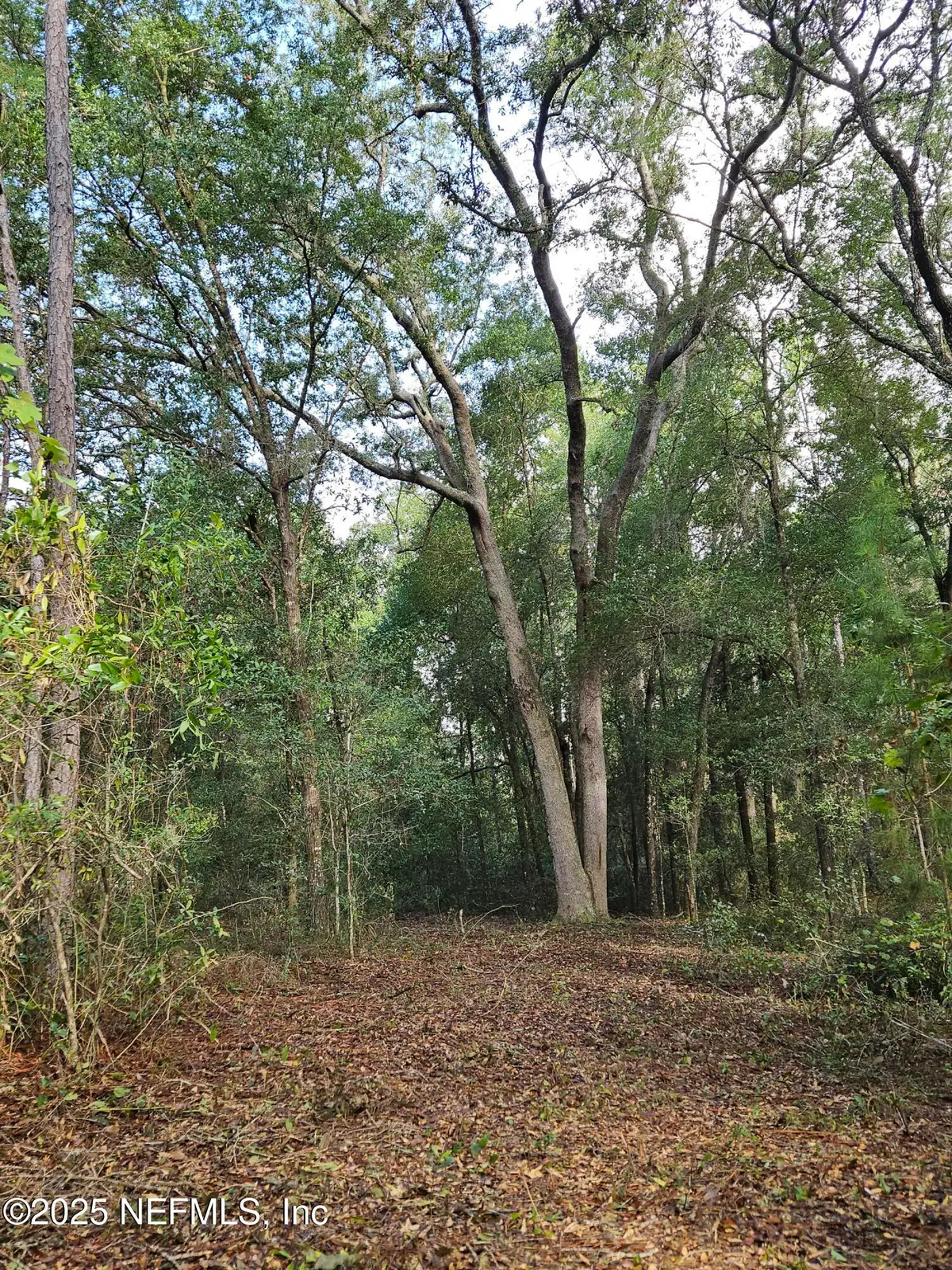 136 Lemon Street, Pomona Park, FL 32181 - Image #1