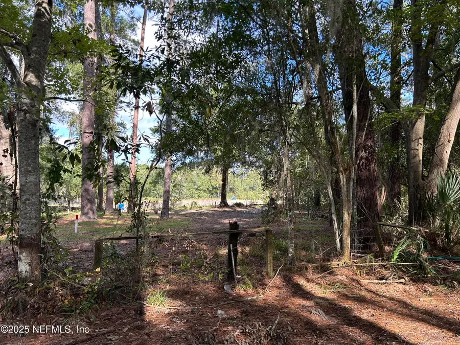 3033 County Road 220, Middleburg, FL 32068 - Image #2