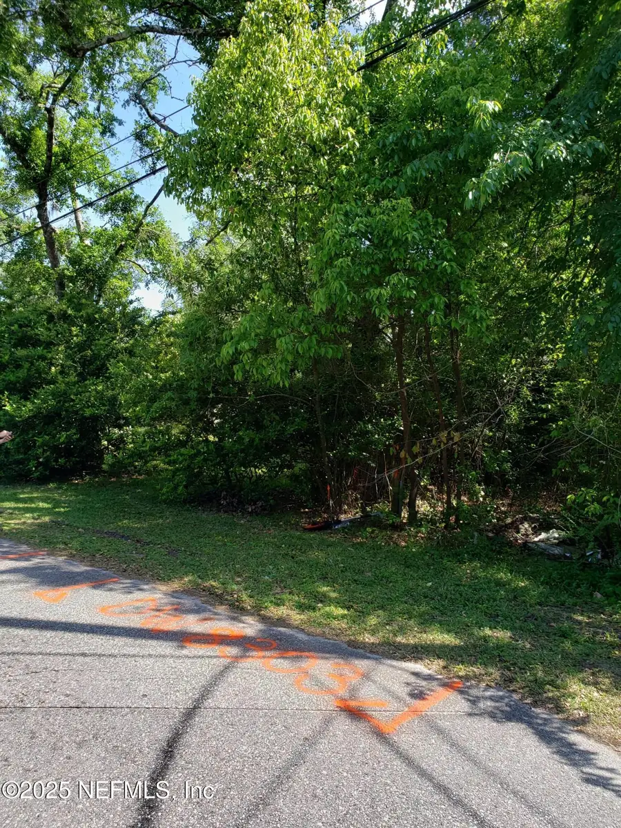 8308 Paschal Street, Jacksonville, FL 32220 - Image #3