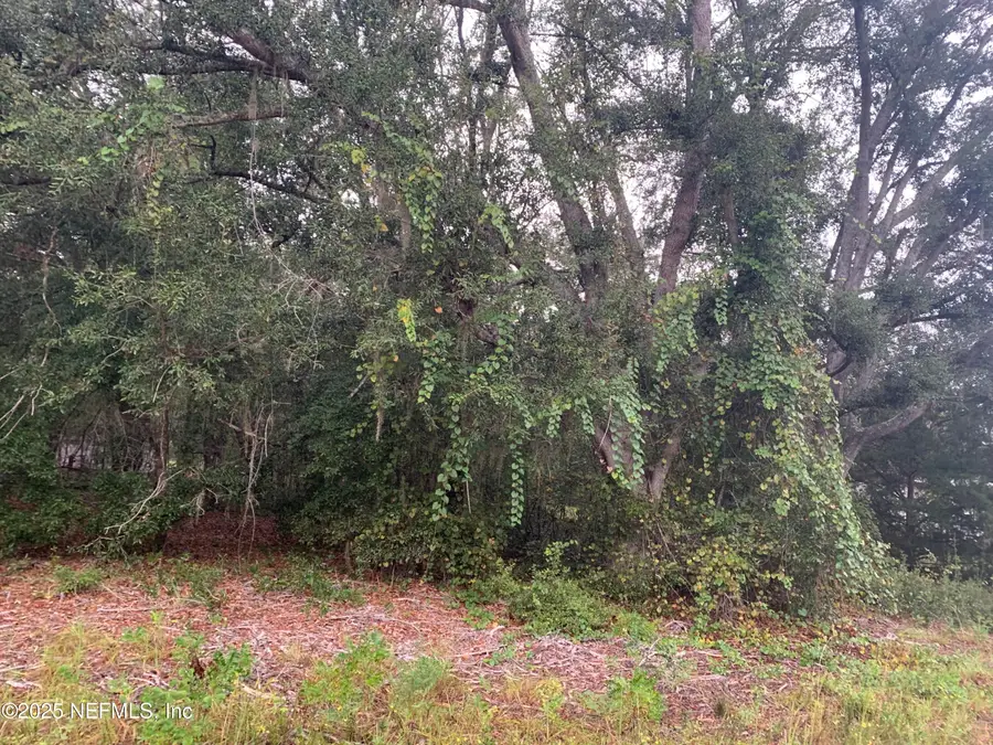 0250 Lenore Avenue, Interlachen, FL 32148 - Image #3