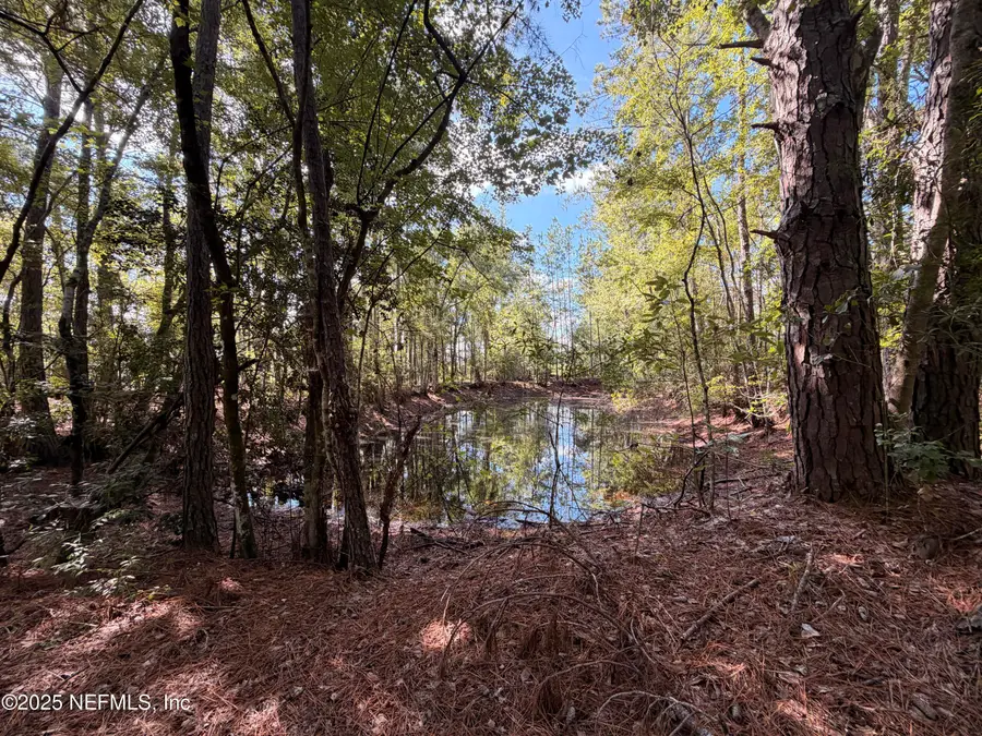 1168/1178 Windridge Lane, Bryceville, FL 32009 - Image #3