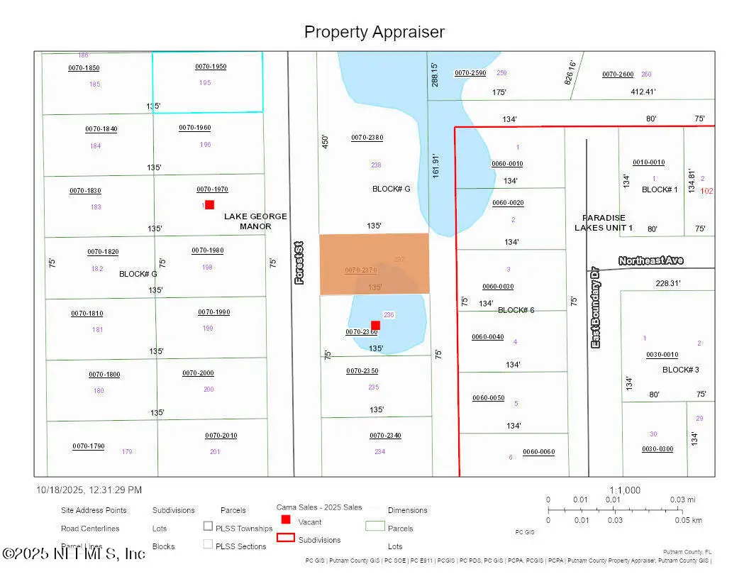 128 Forest Street, Georgetown, FL 32139 - Image #1