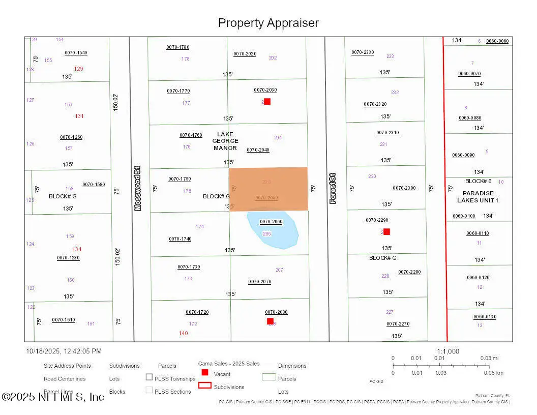 143 Forest Street, Georgetown, FL 32139 - Image #1