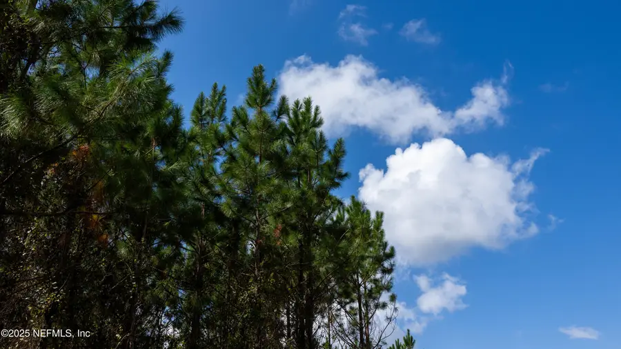 LOT 10 SW County Road 225, Starke, FL 32091 - Image #2
