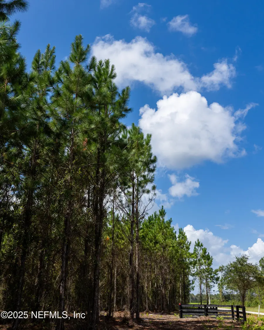 LOT 10 SW County Road 225, Starke, FL 32091 - Image #3