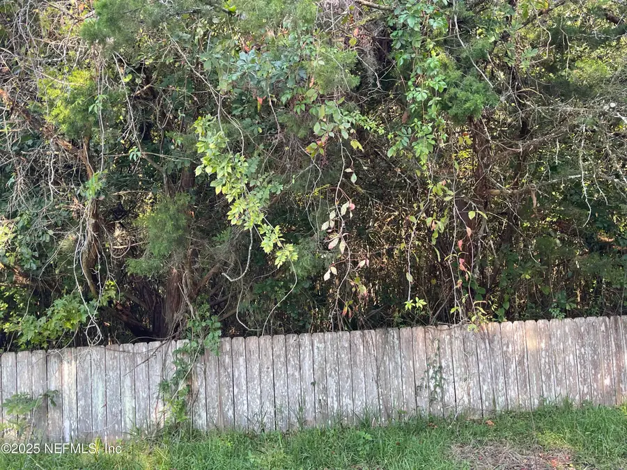 3159 Dothan Road, Green Cove Springs, FL 32043 - Image #2