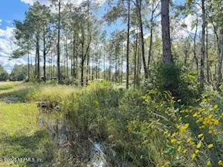 10715 Yeager Avenue, Hastings, FL 32145 - #1