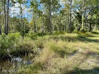 10715 Yeager Avenue, Hastings, FL 32145 - #3