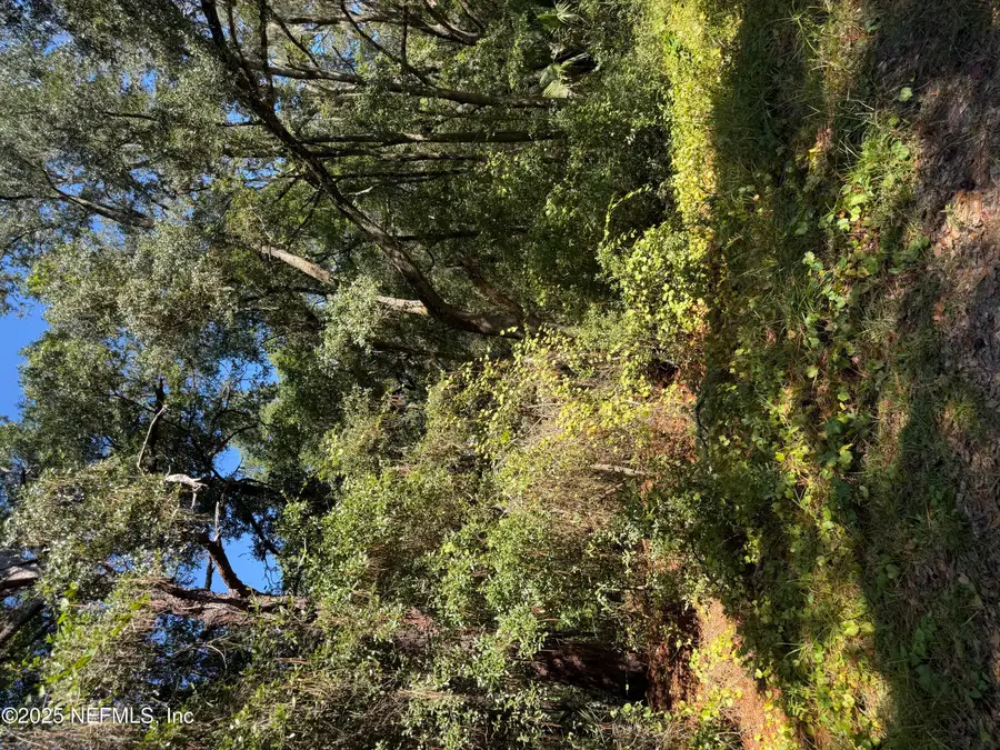 0 Arnold Street, Interlachen, FL 32148 - Image #2