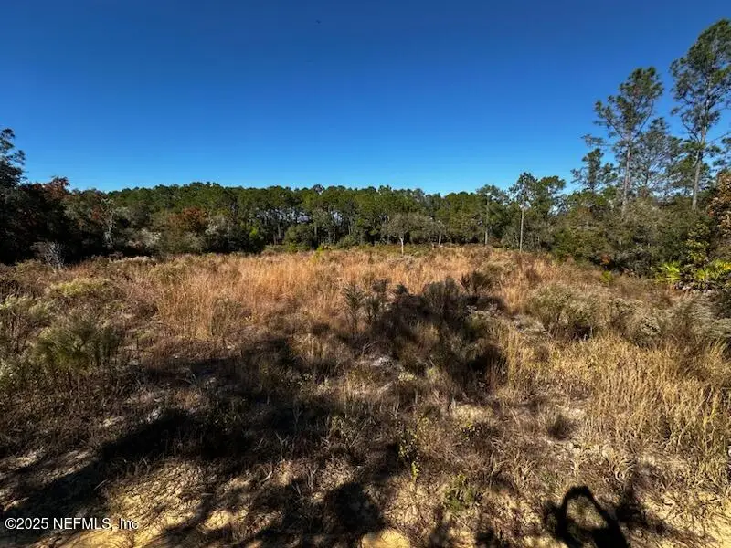 220 Como Circle, Interlachen, FL 32148 - Image #2