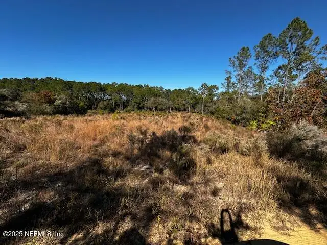 220 Como Circle, Interlachen, FL 32148 - Image #3