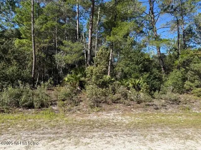 113 Ocala Drive, Georgetown, FL 32139 - Image #2
