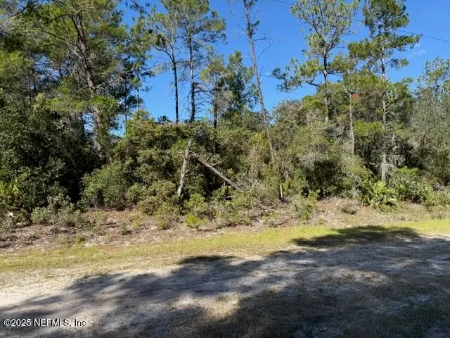 113 Ocala Drive, Georgetown, FL 32139 - Image #3