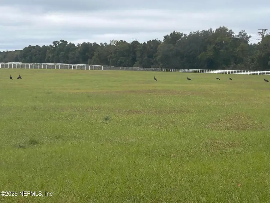 5411 State Road 21, Keystone Heights, FL 32656 - #2