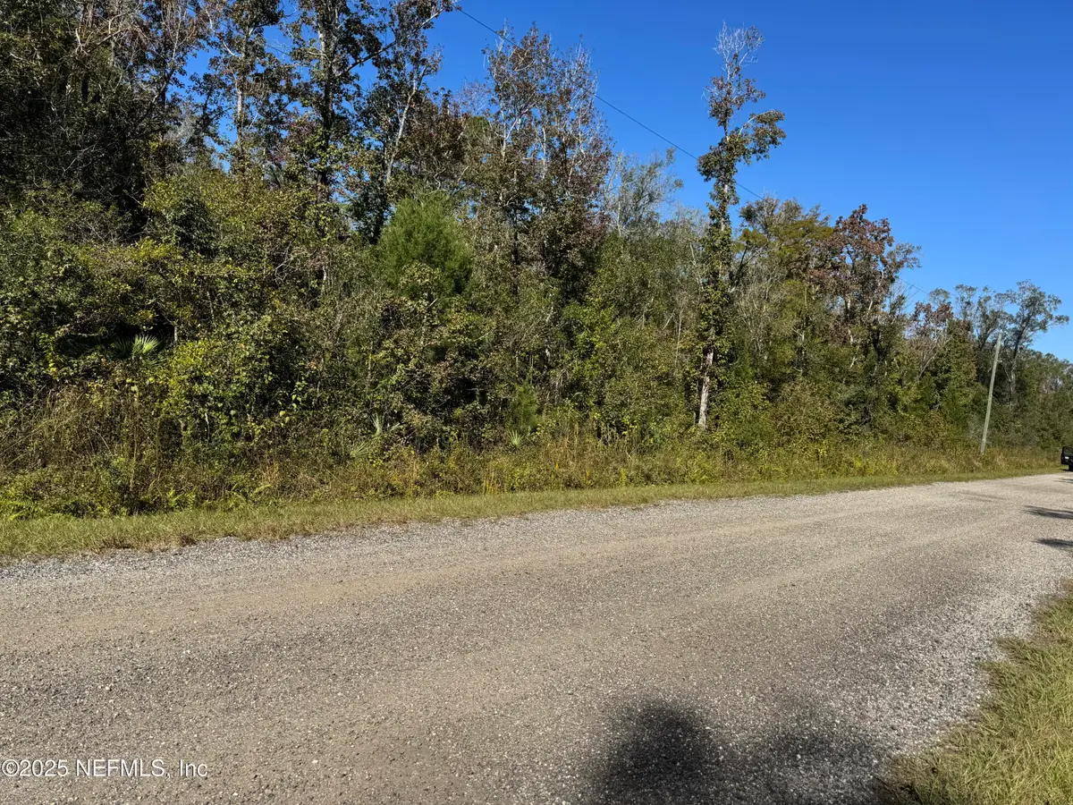 10645 Turpin Avenue, Hastings, FL 32145 - #1