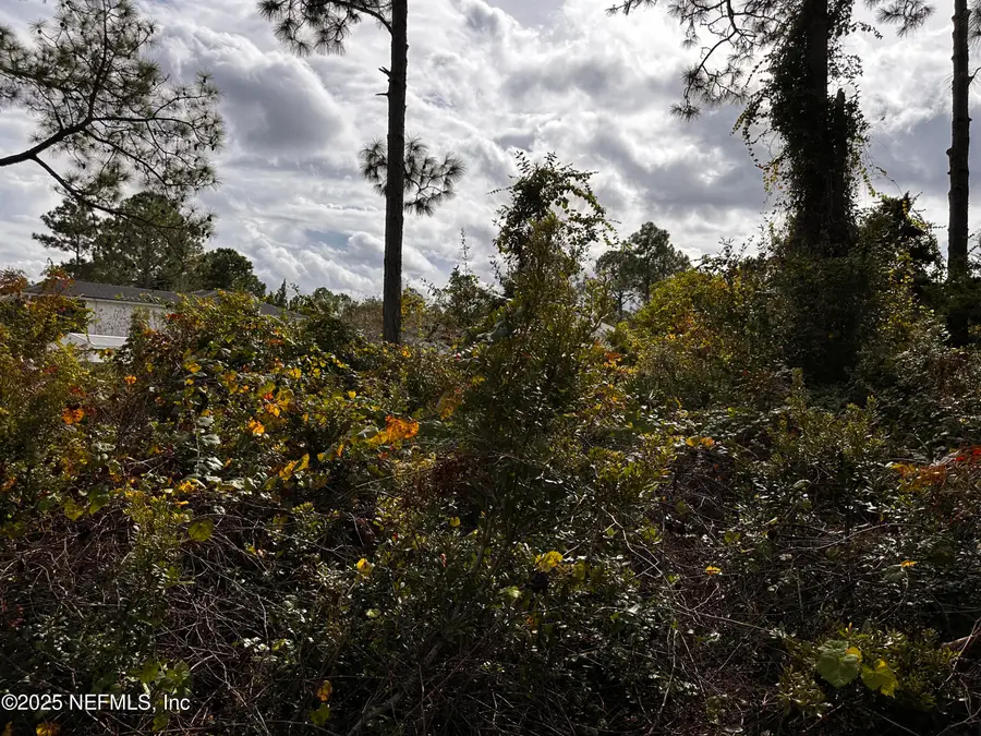 88 Princess Ruth Lane, Palm Coast, FL 32164 - Image #2