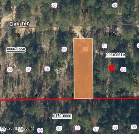 00 Unassigned Road, Interlachen, FL 32148 - #1
