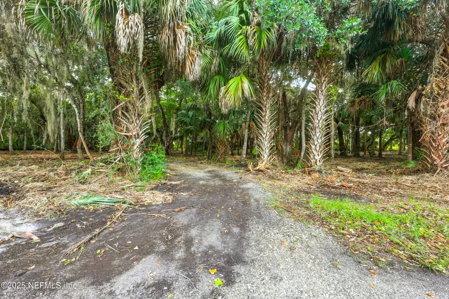 1162B Neck Road, Ponte Vedra Beach, FL 32082 - Image #3