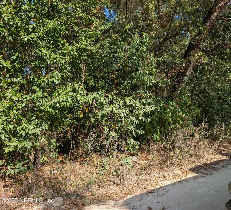 236 2nd Way, Interlachen, FL 32148 - Image #2