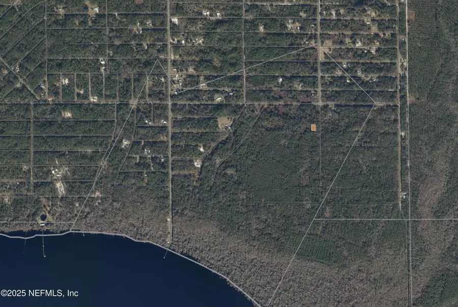 234 Laisy Drive, Georgetown, FL 32139 - Image #2