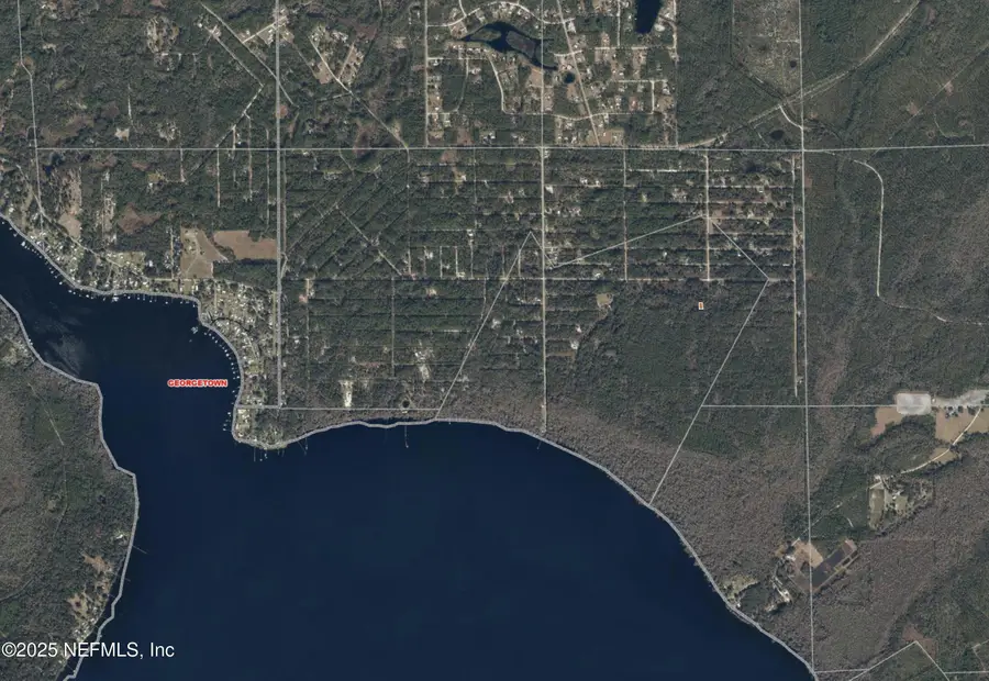 234 Laisy Drive, Georgetown, FL 32139 - Image #3