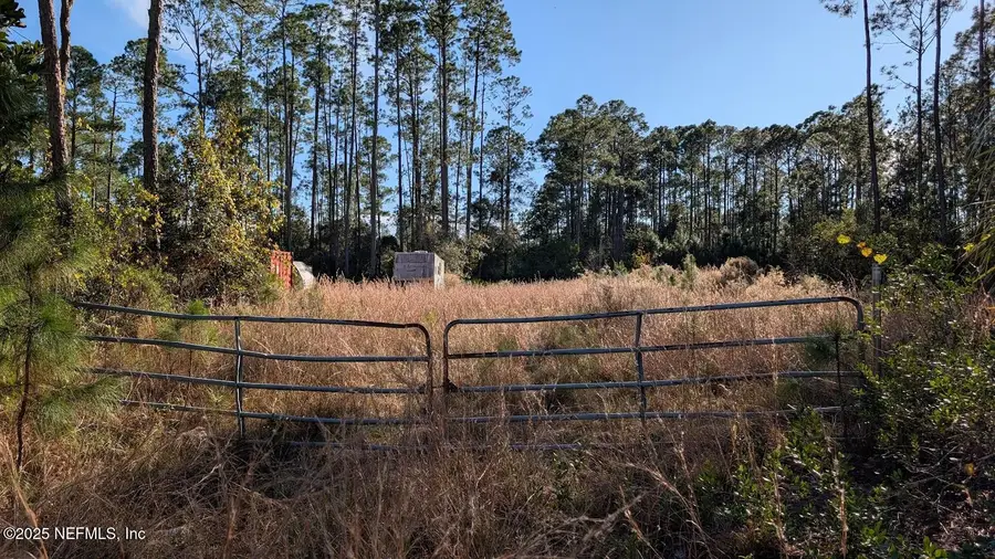 113 White Pine Lane, Georgetown, FL 32139 - Image #2