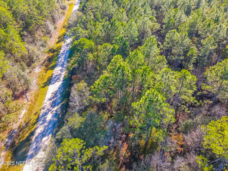 10265 Flikkema Avenue, Hastings, FL 32145 - Image #3