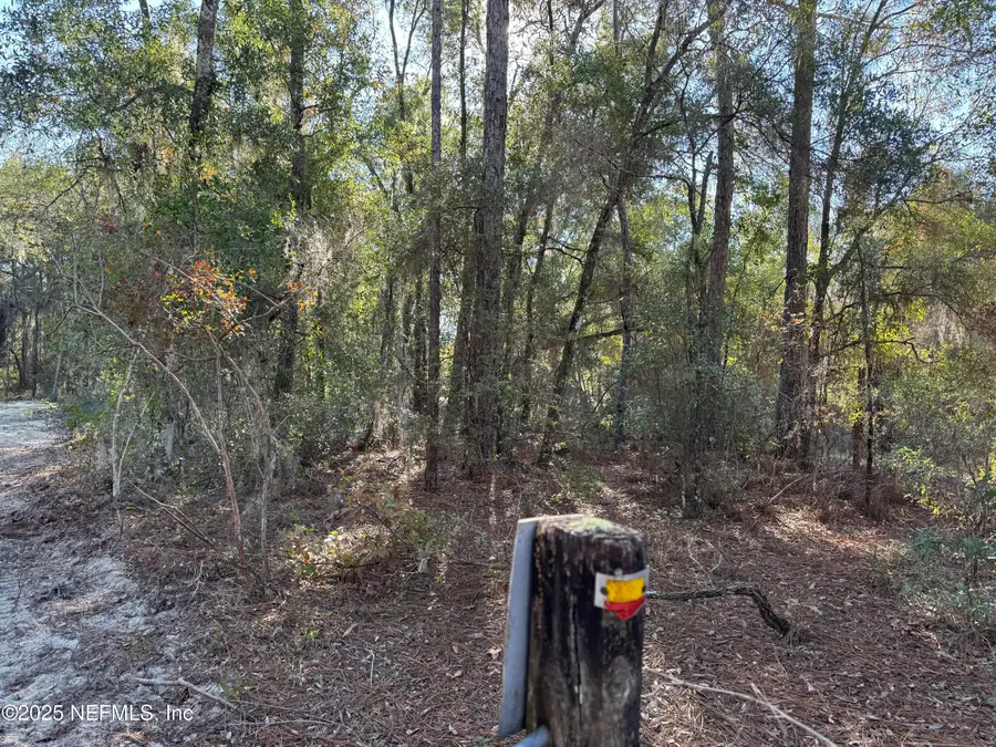 105 Race Street, Hawthorne, FL 32640 - Image #2