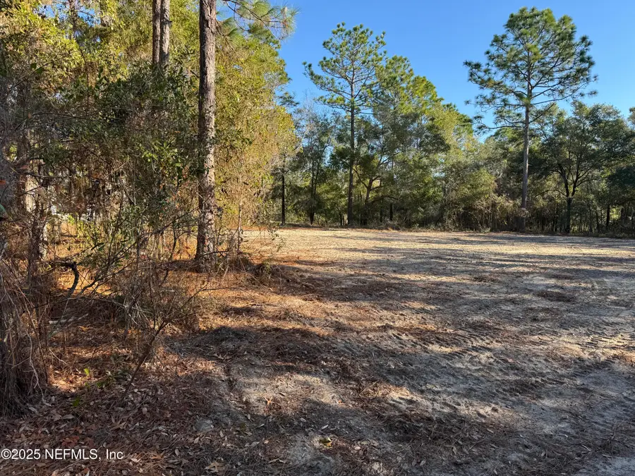 105 Race Street, Hawthorne, FL 32640 - Image #3