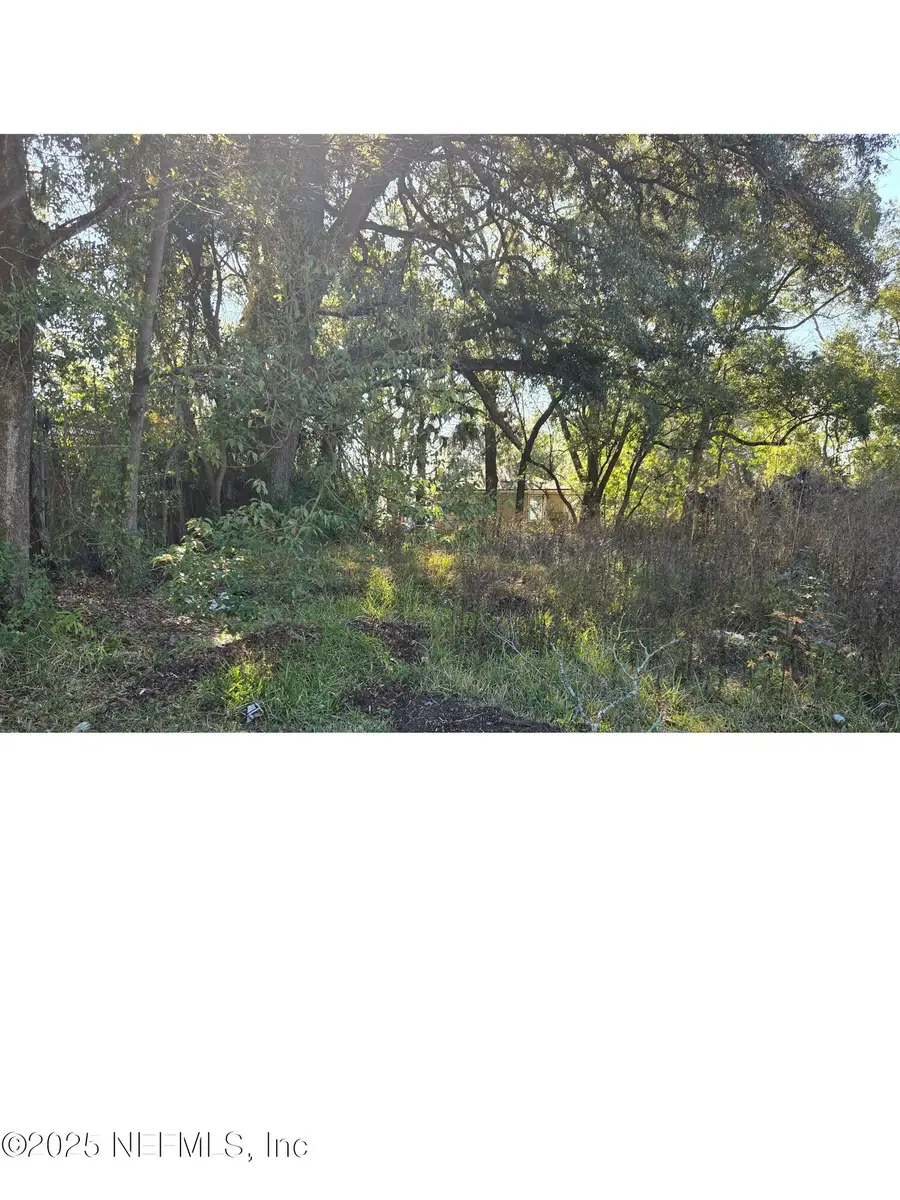 0 Baldwin Street, Jacksonville, FL 32209 - Image #3