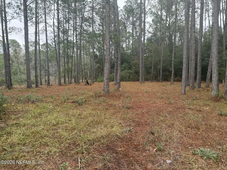 115 Chapel Lane, Hawthorne, FL 32640 - Image #3