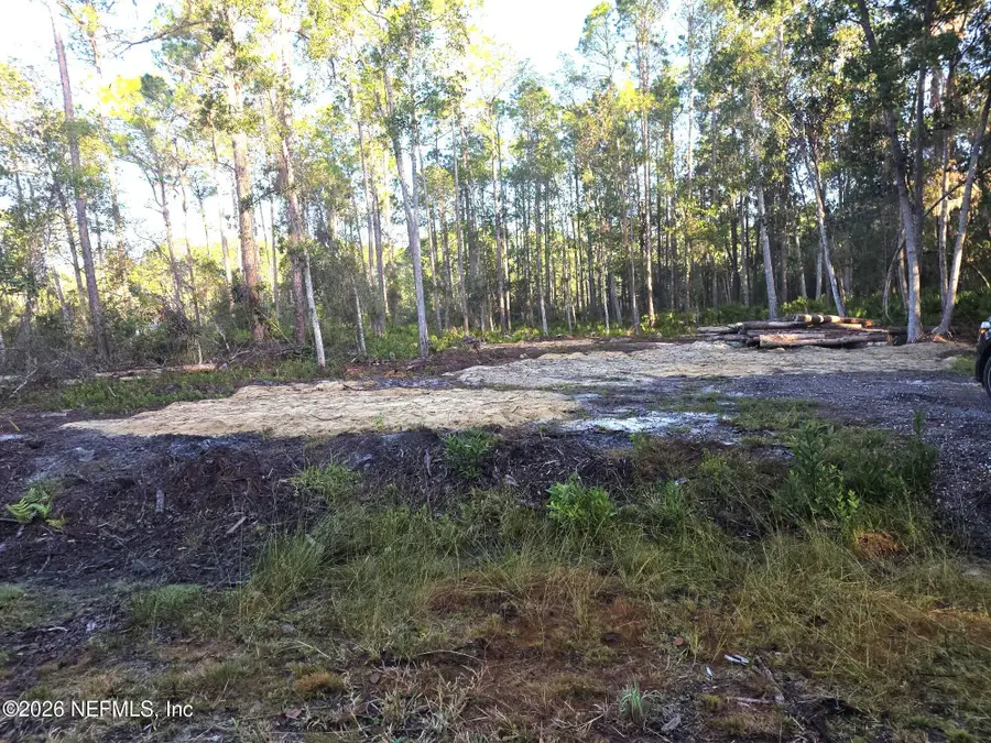 112 Marie Avenue, Georgetown, FL 32139 - Image #2